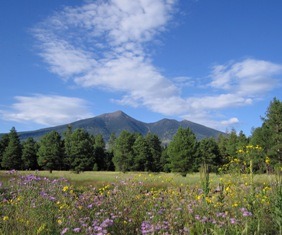 Flagstaff Arizona